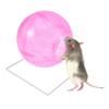 DOITOOL 3-Piece Hamster Exercise Toy view 4
