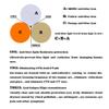 SHINU Blue-Light-Blocking Glasses, Red/Orange Lenses for Long Work Hours, Men and Women, SH078ZH (Orange Lens, C2) view 4