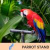 Parrot Training Perch for Bird Cages view 2
