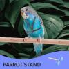 Parrot Training Perch for Bird Cages view 3