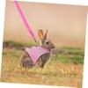 DOITOOL 2-Set Adjustable Rabbit Harnesses with Leashes, Pink view 3