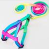 Adjustable Collar for Small Rabbits and Cats, Rainbow Colors, 2 Pieces view 3
