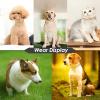Firulab Fancy Cat Collar for Puppies view 4