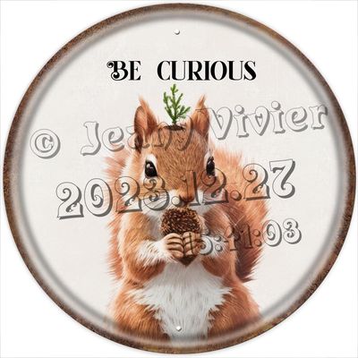 NANVIER Squirrel Forest Nursery Decor, Round Tin Sign, 12 x 12 in