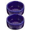DOITOOL 2-Piece Ceramic Food Bowls for Guinea Pigs and Squirrels, Smooth, Easy to Clean, for Food and Water, Tip-Resistant view 1
