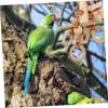 FOMIYES Wooden Parrot Chew Toy view 2