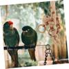 FOMIYES Wooden Parrot Chew Toy view 3