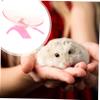 Housoutil Hamster Wheel in Pink view 2