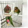 Angoily Parrot Chew Toy view 4