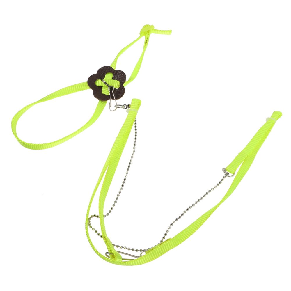 DOITOOL Small Pet Leash for Turtles, Lizards, and Reptiles