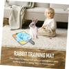 FOMIYES 2-Piece Rabbit Feeding and Snuffle Mats for Slow Feeding and Stress Relief view 2