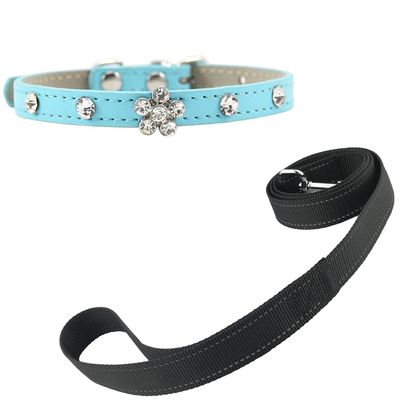 Newtensina Bling Puppy Collar and Leash Set - Blue - XXS