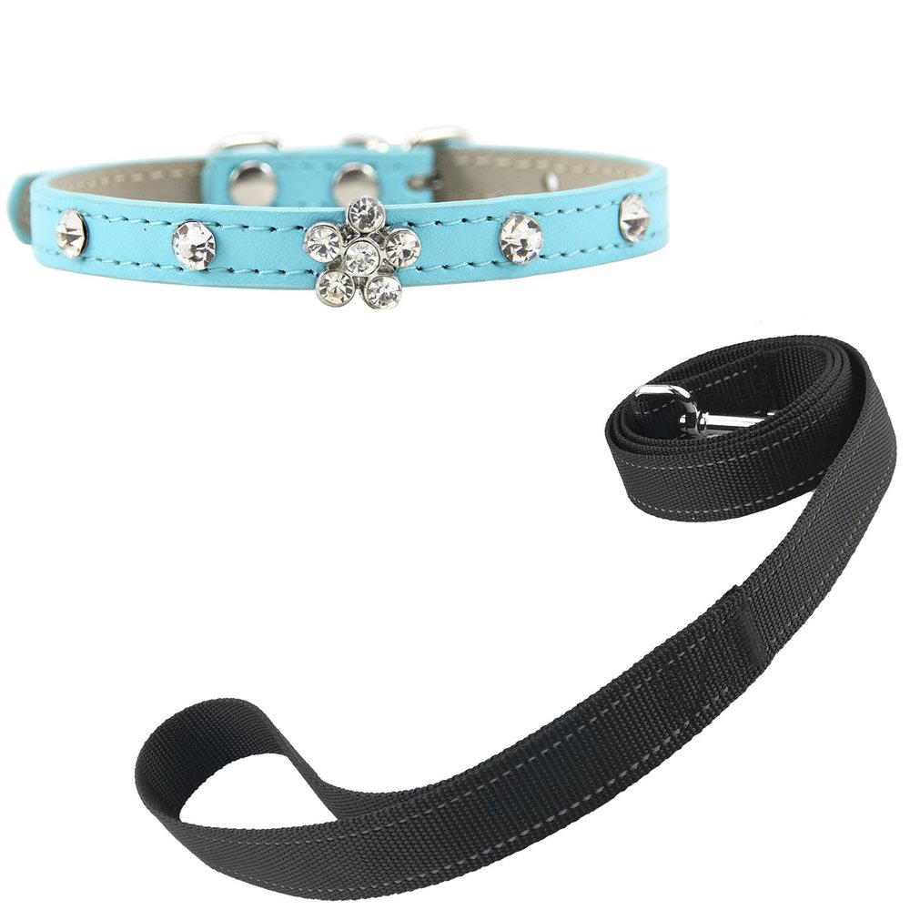 Newtensina Bling Puppy Collar and Leash Set - Blue - XXS