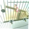 FOMIYES Creative Parrot Seesaw Climbing Toy for Small Rodents view 4