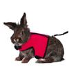 Angoily Adjustable Pet Harness for Rabbits view 2