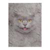 Tenemos Fleece Blanket with 3D Blue Cat Print, 125 x 150 cm view 3