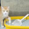 Cat Litter Scoop view 3
