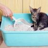 Cat Litter Scoop view 4