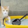 Cat Litter Scoop, Rust-Resistant view 3