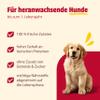 animonda GranCarno Junior Dog Wet Food with Turkey (6 x 400g) view 2