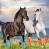 Horse Fly Boots to Help Prevent Stomping, 4-Piece Set, Orange view 3
