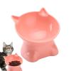 Aznever Elevated Cat Bowl view 1