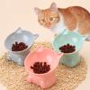 Aznever Elevated Cat Bowl view 4