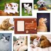 Loufy Pet Urns for Dogs and Cats view 4