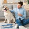 CENMOO Pet Pill Popper view 3