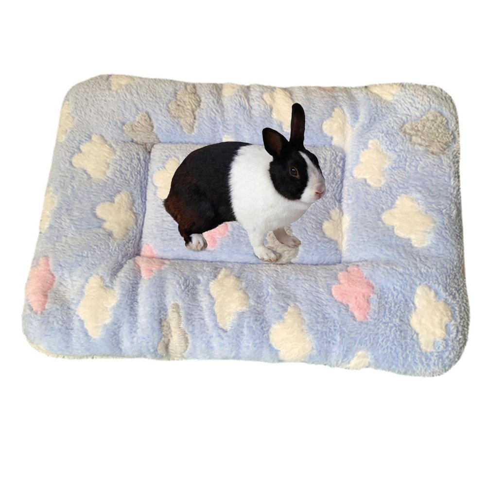 Calming Blanket for Cats