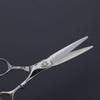 RWRAPS 6-Inch Professional Hairdressing Scissor Set, Straight and Thinning Scissors, Silver view 3