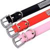 fxwtich Adjustable Dog Collar view 3