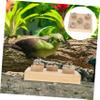 Angoily Interactive Parrot Toy for Aggression Reduction and Loneliness view 3