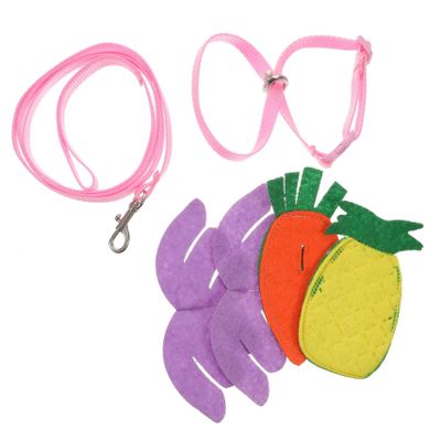 Angoily Rabbit Leash for Pets