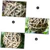 Angoily Woven Rattan Straw Chew Ball Toy for Small Pets view 2