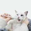 TARAKO Pet Pill Dispenser view 2