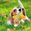 Aznever Dog Toy Duck with Squeaker view 2