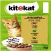 KITEKAT Multipack Hunting Feast in Sauce 12x85g view 4