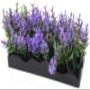 XYWHPGV Artificial Plastic Aquarium Grass Plant Ornament view 1
