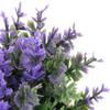 XYWHPGV Artificial Plastic Aquarium Grass Plant Ornament view 2