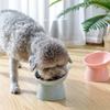 MONOJLY Elevated Cat Food Bowl view 4