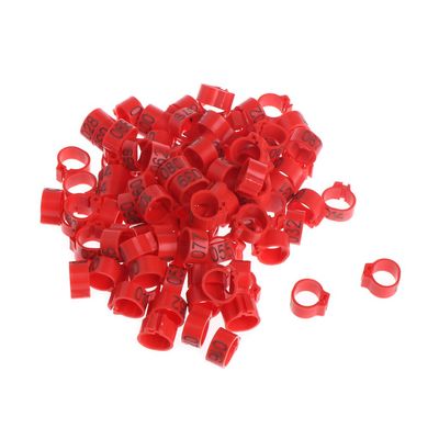 MONOJLY 100 Pcs 10mm Bird Leg Bands Plastic for Pigeons Chicken Quail Poultry Multicolor