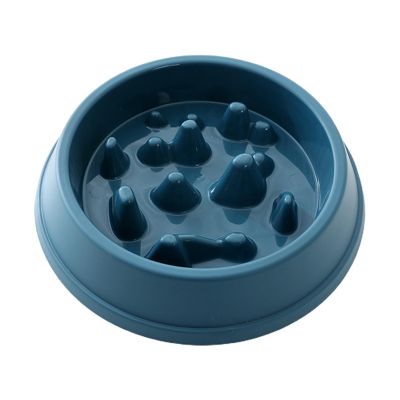 fxwtich Pet Bowl - Non-Slip Slow Feeder