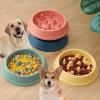 fxwtich Pet Bowl - Non-Slip Slow Feeder view 3