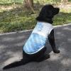 Pet Dog Shirt, Sweat-Absorbing Quick-Dry Sleeveless Summer Vest view 3