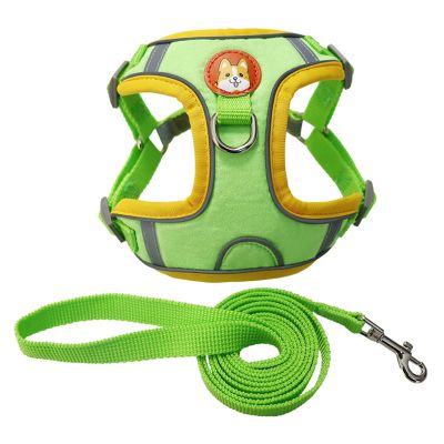 Pet Harness Set, 2 Pieces
