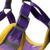 Pet Harness Set, 2 Pieces view 3
