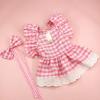Pet Dress with Princess Lace view 3