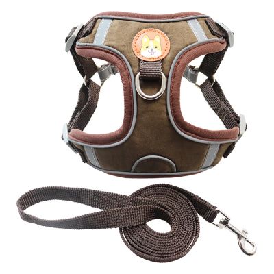 Pet Harness Set, 2 Pieces