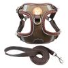 Pet Harness Set, 2 Pieces view 1